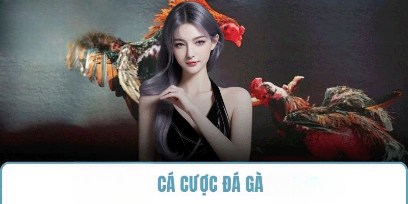 Đá Gà SHBET – Sân Chơi Cá Cược Uy Tín