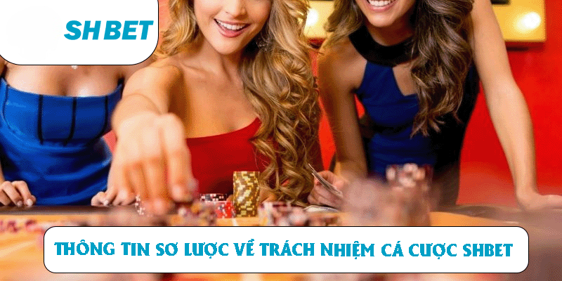 Chơi Có Trách Nhiệm SHBET: Cập Nhật Mới Quy Định Chi Tiết